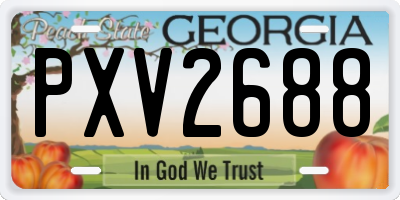GA license plate PXV2688