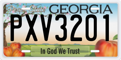 GA license plate PXV3201