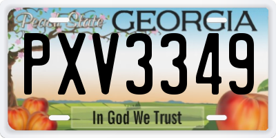 GA license plate PXV3349