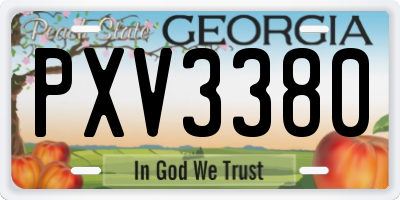 GA license plate PXV3380