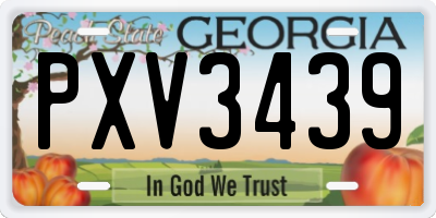 GA license plate PXV3439