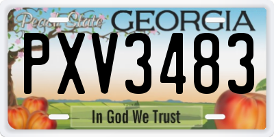 GA license plate PXV3483