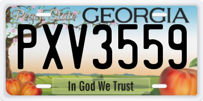 GA license plate PXV3559