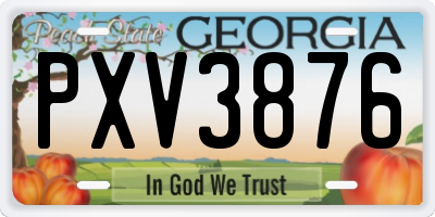 GA license plate PXV3876