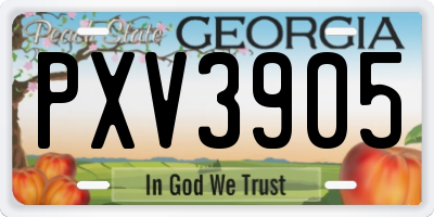 GA license plate PXV3905