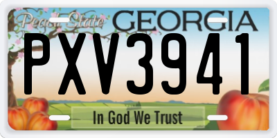 GA license plate PXV3941