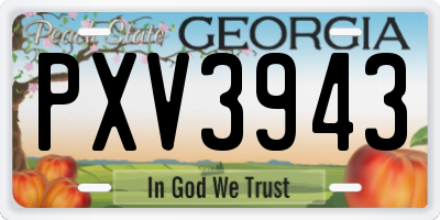 GA license plate PXV3943