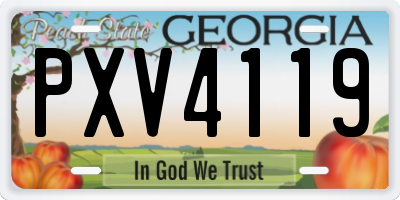 GA license plate PXV4119