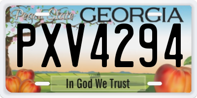 GA license plate PXV4294