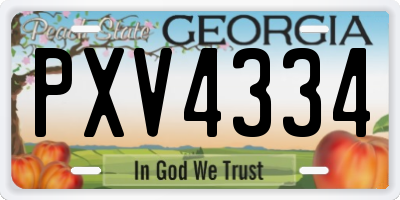GA license plate PXV4334