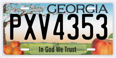 GA license plate PXV4353