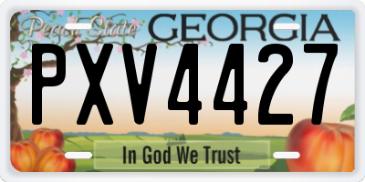 GA license plate PXV4427