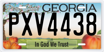 GA license plate PXV4438