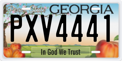 GA license plate PXV4441