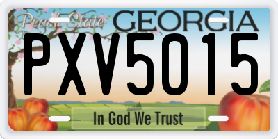 GA license plate PXV5015