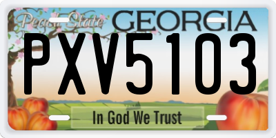 GA license plate PXV5103