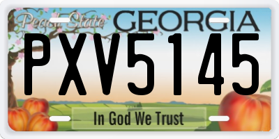 GA license plate PXV5145
