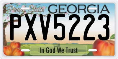 GA license plate PXV5223