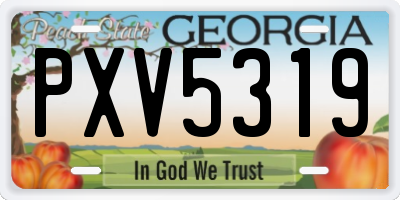 GA license plate PXV5319