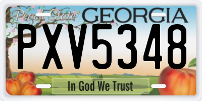 GA license plate PXV5348