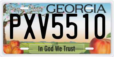 GA license plate PXV5510