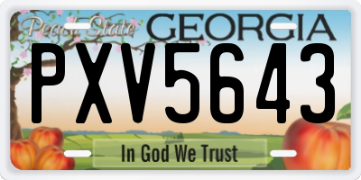 GA license plate PXV5643