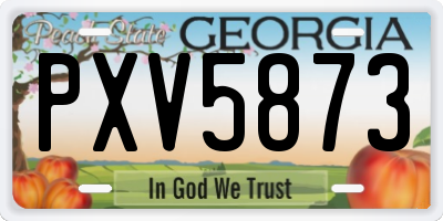 GA license plate PXV5873
