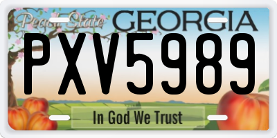 GA license plate PXV5989