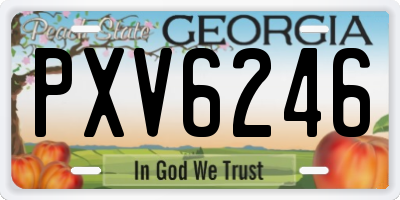 GA license plate PXV6246