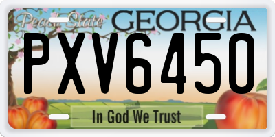 GA license plate PXV6450