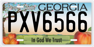 GA license plate PXV6566