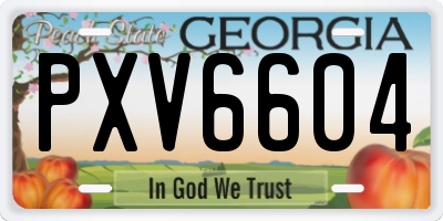 GA license plate PXV6604
