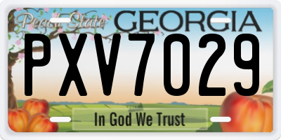 GA license plate PXV7029