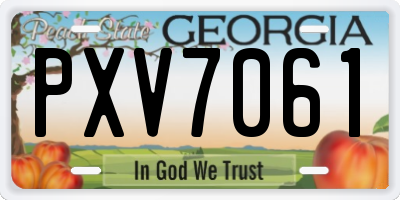 GA license plate PXV7061