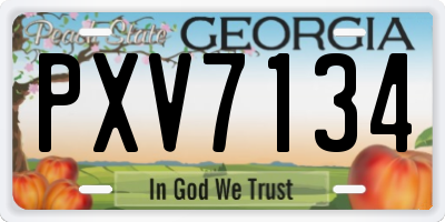 GA license plate PXV7134