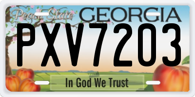 GA license plate PXV7203