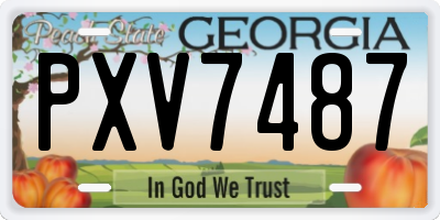 GA license plate PXV7487