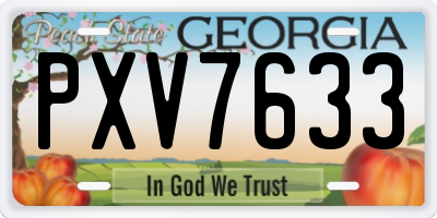 GA license plate PXV7633