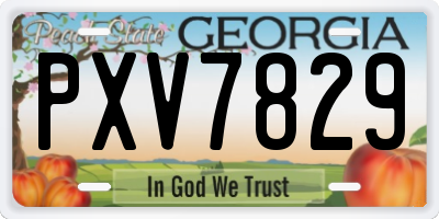 GA license plate PXV7829