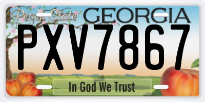 GA license plate PXV7867