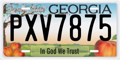 GA license plate PXV7875