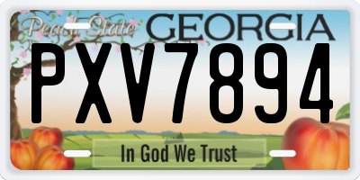 GA license plate PXV7894