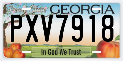 GA license plate PXV7918