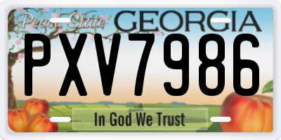GA license plate PXV7986