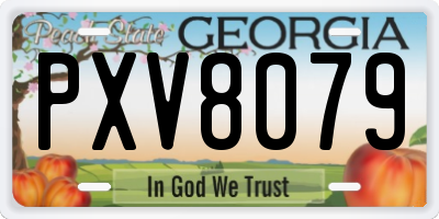 GA license plate PXV8079