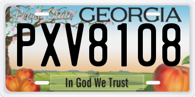GA license plate PXV8108