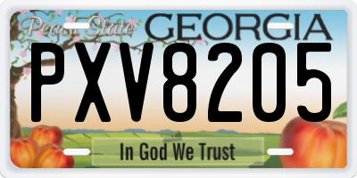 GA license plate PXV8205