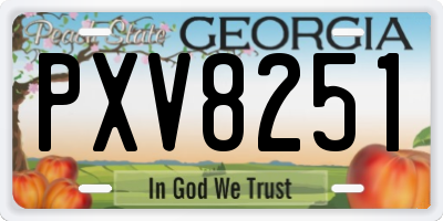 GA license plate PXV8251