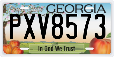 GA license plate PXV8573