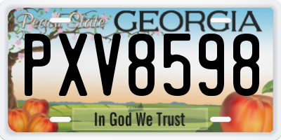 GA license plate PXV8598